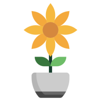 tournesol