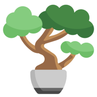 bonsai