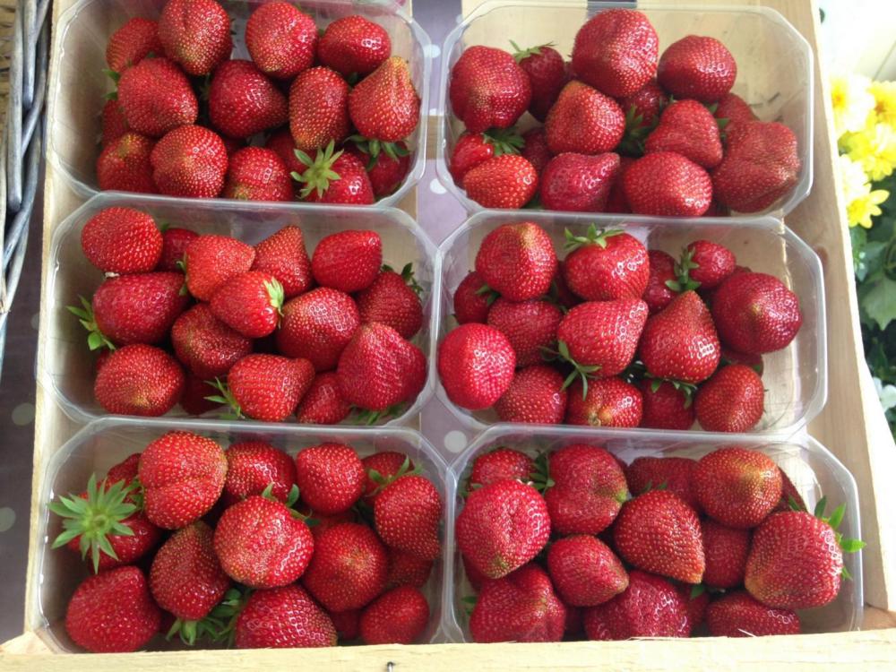 fruits & légumes de saison (1)