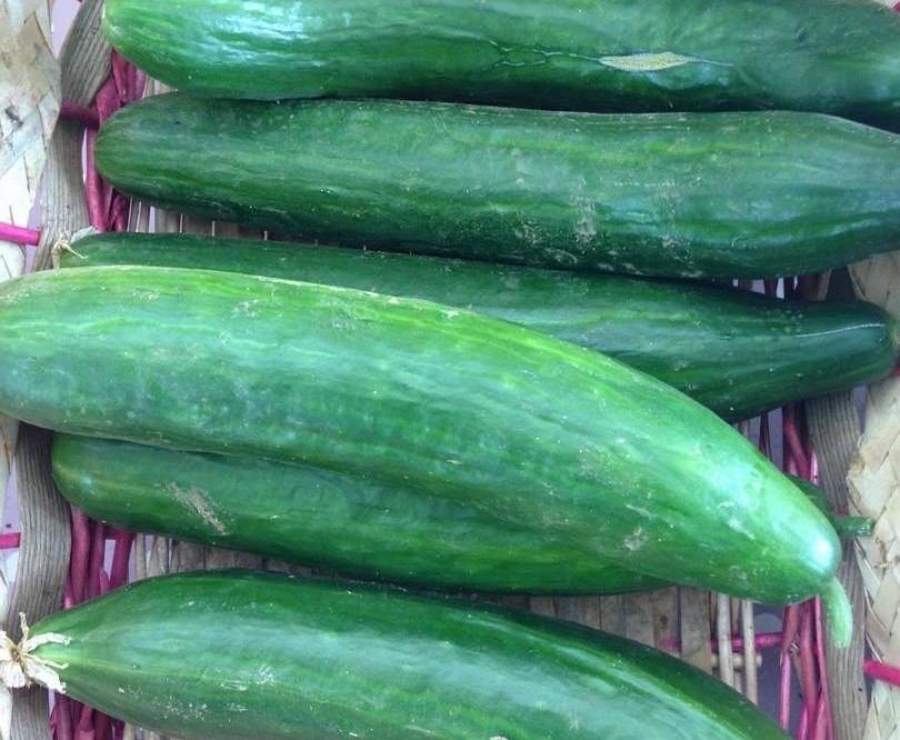 fruits & légumes de saison (1)